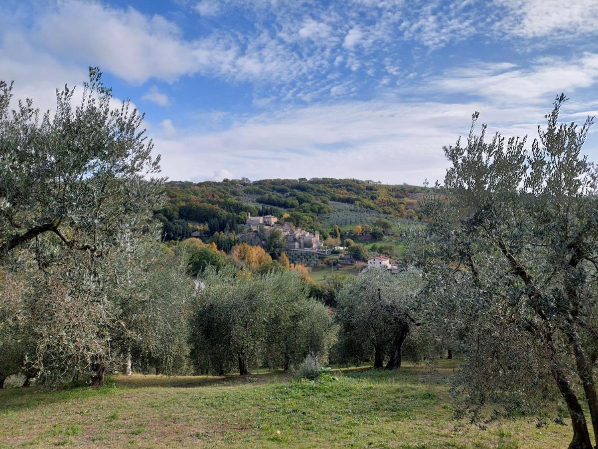 Agriturismo La Rocca Assisi Petrignano Kültér fotó