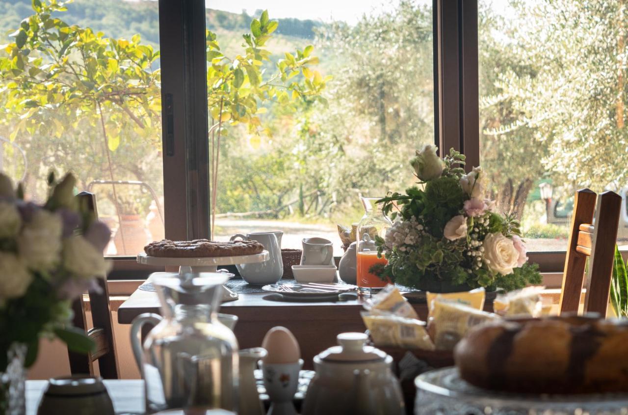 Agriturismo La Rocca Assisi Petrignano Kültér fotó