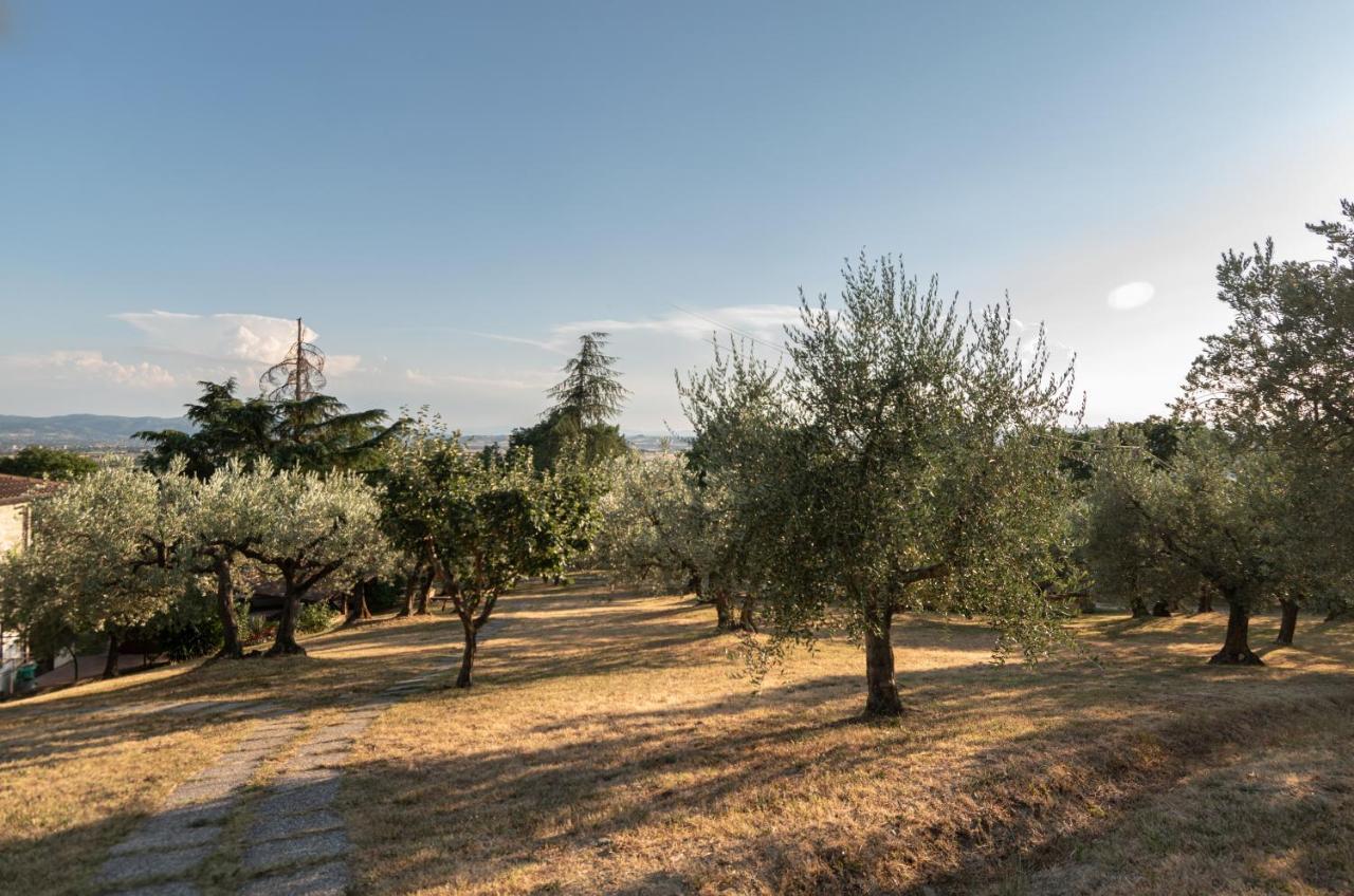 Agriturismo La Rocca Assisi Petrignano Kültér fotó