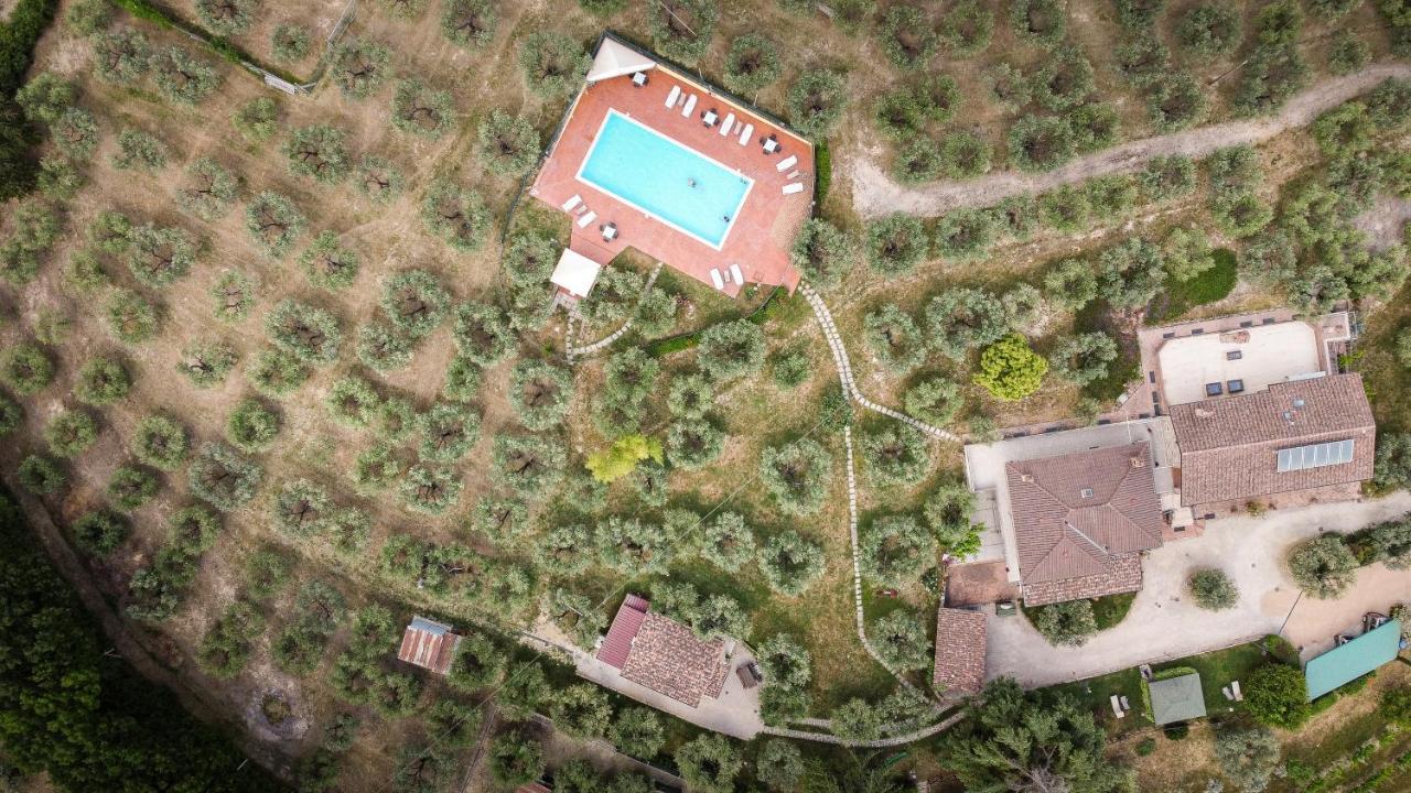 Agriturismo La Rocca Assisi Petrignano Kültér fotó