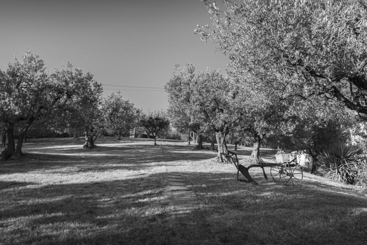 Agriturismo La Rocca Assisi Petrignano Kültér fotó
