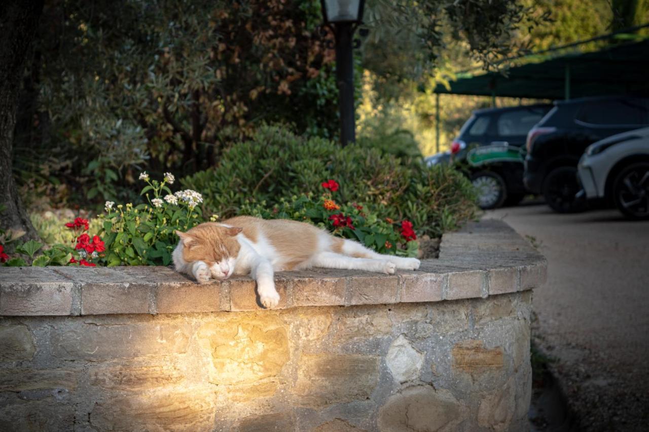 Agriturismo La Rocca Assisi Petrignano Kültér fotó