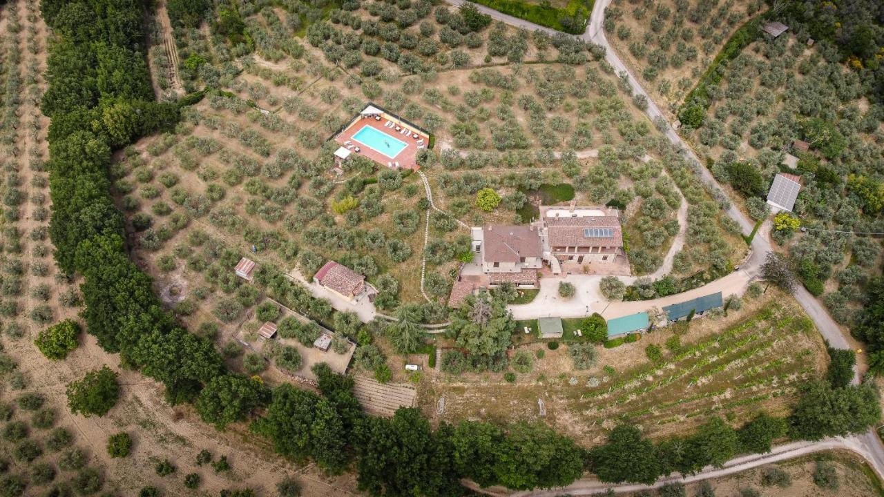 Agriturismo La Rocca Assisi Petrignano Kültér fotó