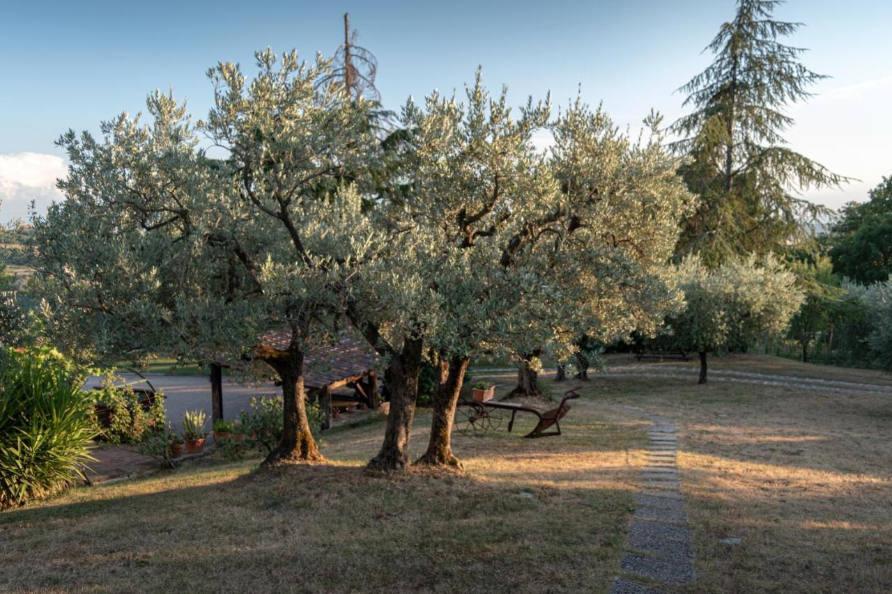 Agriturismo La Rocca Assisi Petrignano Kültér fotó