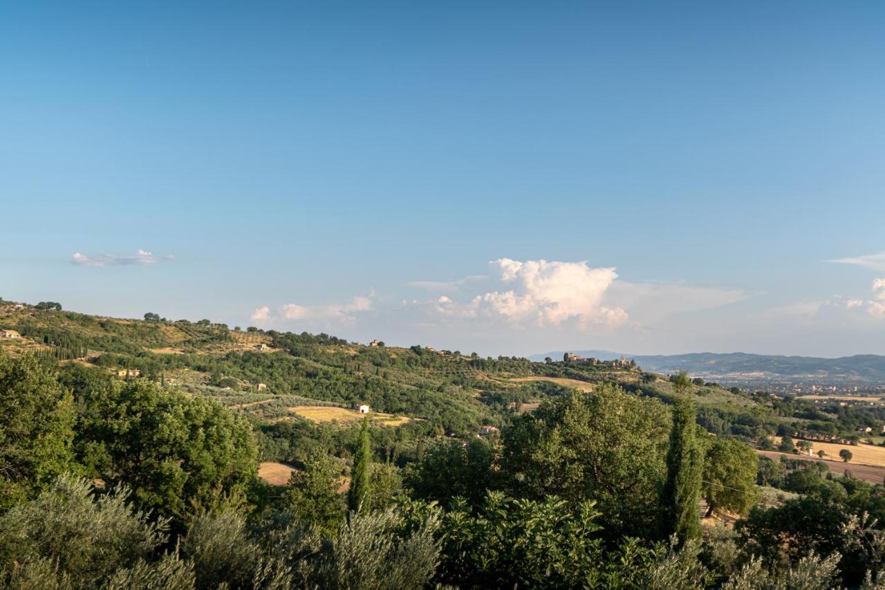 Agriturismo La Rocca Assisi Petrignano Kültér fotó